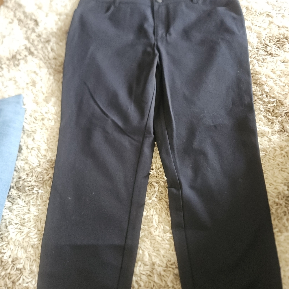 Lafayette 148 New York navy Skinny Pants